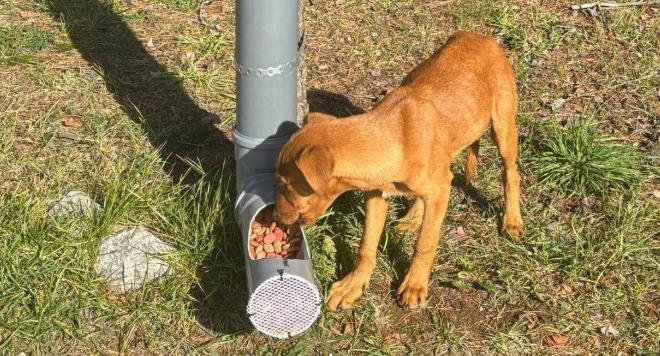 Screenshot 2025 11 20 150057