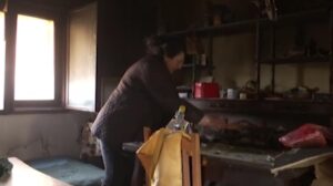 Screenshot 2025 11 21 114142