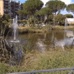 [Aggregator] Downloaded image for imported item #38657