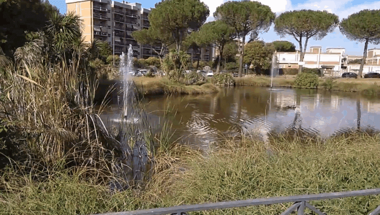 [Aggregator] Downloaded image for imported item #38657