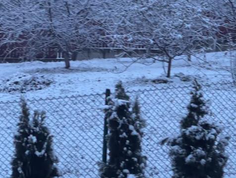 [Aggregator] Downloaded image for imported item #44512