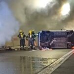 [Aggregator] Downloaded image for imported item #44713