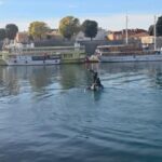 [Aggregator] Downloaded image for imported item #51002