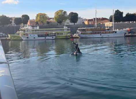 [Aggregator] Downloaded image for imported item #51002