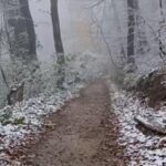 Sneg na Fruskoj gori