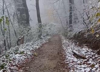 Sneg na Fruskoj gori