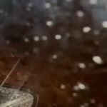 UKLONJENO DRVO SA AUTO-PUTA NOVI SAD–BEOGRAD: Saobraćaj između petlje Kovilj i mosta Beška normalizovan nakon zastoja (FOTO) Snimak ekrana 2025 11 17 174021