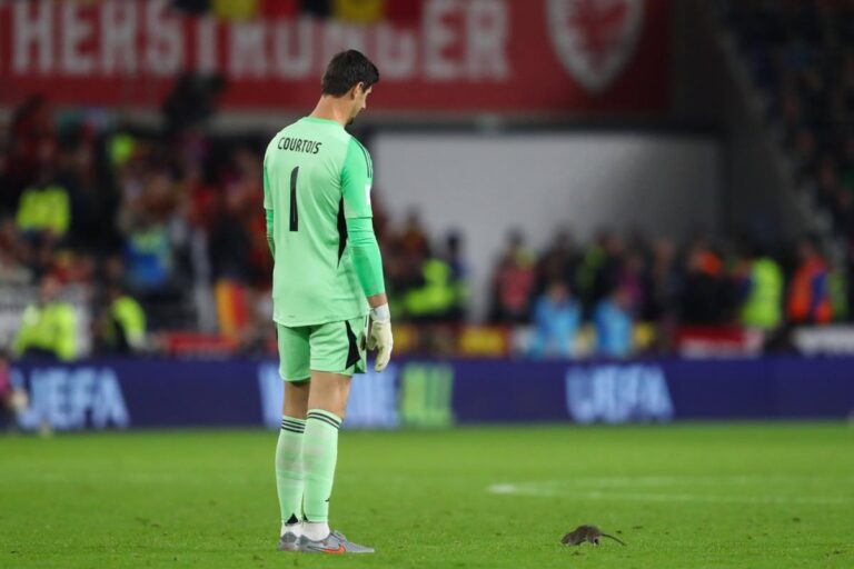 [Aggregator] Downloaded image for imported item #38768