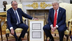 TrampMerc e1749304991844