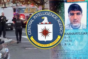 [Aggregator] Downloaded image for imported item #44912