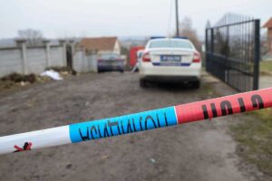 [Aggregator] Downloaded image for imported item #49882