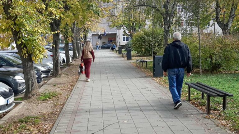 WhatsApp Image 2025 11 17 at 11.44.26 1 copy