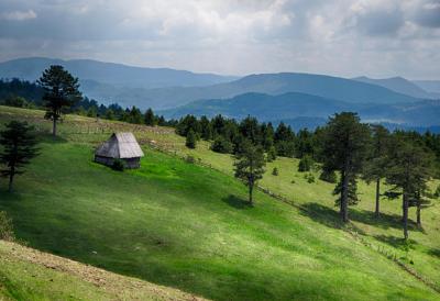 [Aggregator] Downloaded image for imported item #39115