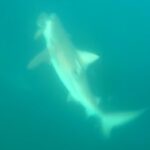 [Aggregator] Downloaded image for imported item #44012