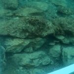 [Aggregator] Downloaded image for imported item #31520