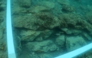 [Aggregator] Downloaded image for imported item #31520