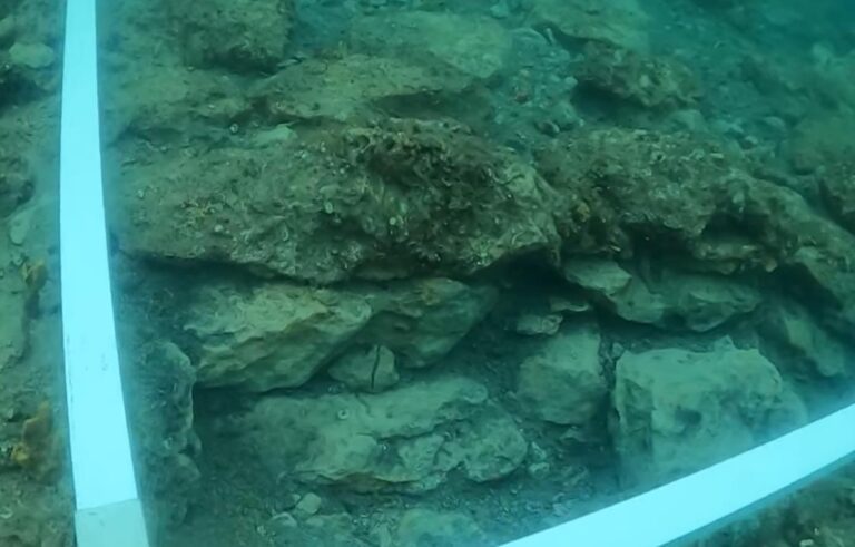 [Aggregator] Downloaded image for imported item #31520