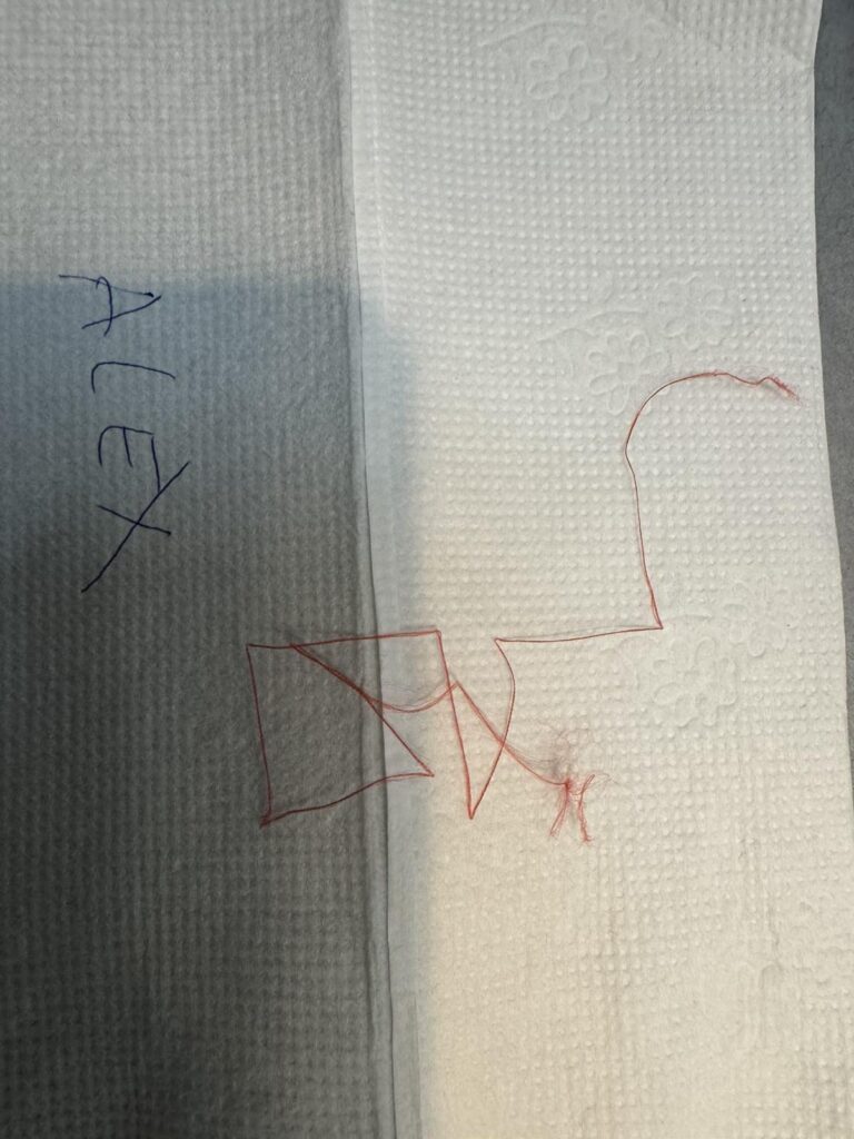 Aleksandra MArić Jelovac, Vučić će vladati još 13 godina. Ostaje na vlasti