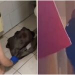 [Aggregator] Downloaded image for imported item #34418