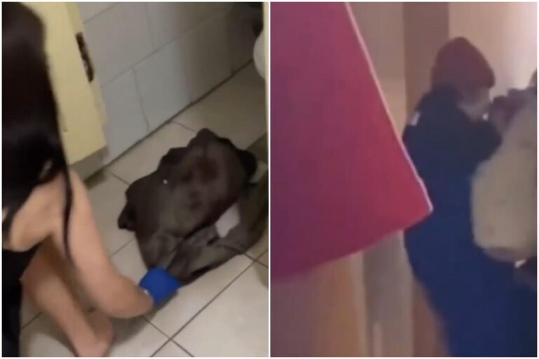 [Aggregator] Downloaded image for imported item #34418