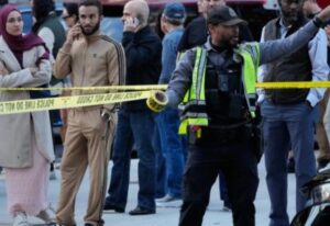 [Aggregator] Downloaded image for imported item #42949