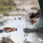 [Aggregator] Downloaded image for imported item #40879