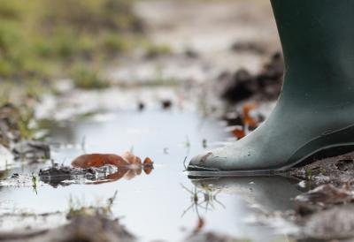 [Aggregator] Downloaded image for imported item #40879