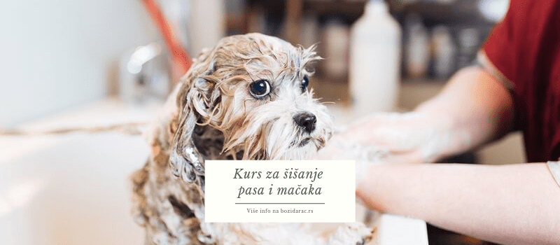 Božidarac obuke i kursevi Beograd