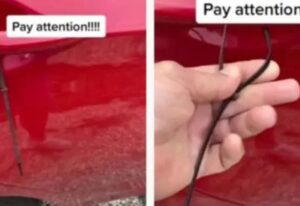 [Aggregator] Downloaded image for imported item #40346