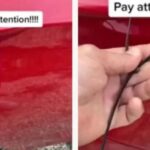 [Aggregator] Downloaded image for imported item #40344