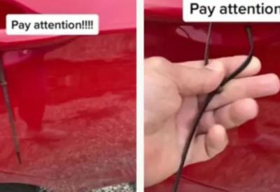 [Aggregator] Downloaded image for imported item #40344