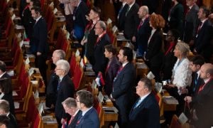 [Aggregator] Downloaded image for imported item #33551