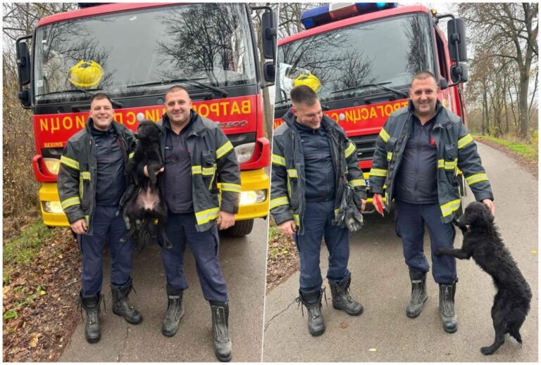 [Aggregator] Downloaded image for imported item #48527