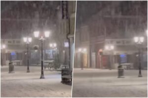 [Aggregator] Downloaded image for imported item #47568