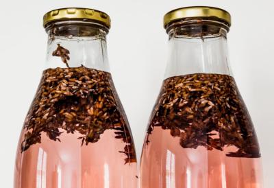 [Aggregator] Downloaded image for imported item #44339