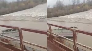 [Aggregator] Downloaded image for imported item #43482