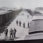 [Aggregator] Downloaded image for imported item #12290