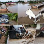 [Aggregator] Downloaded image for imported item #46146