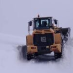 [Aggregator] Downloaded image for imported item #34175