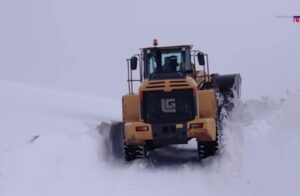 [Aggregator] Downloaded image for imported item #34175