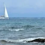 [Aggregator] Downloaded image for imported item #40746