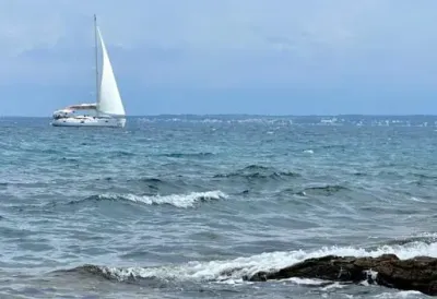 [Aggregator] Downloaded image for imported item #40746