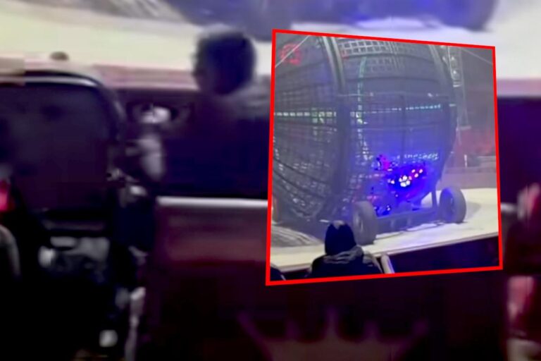 [Aggregator] Downloaded image for imported item #30662