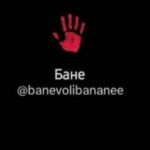 [Aggregator] Downloaded image for imported item #30177