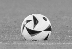 [Aggregator] Downloaded image for imported item #39124