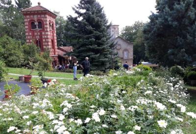 [Aggregator] Downloaded image for imported item #49117