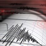 mixcollage 22 mar 2024 11 01 am 2993