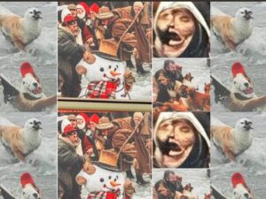 [Aggregator] Downloaded image for imported item #30461