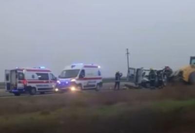 [Aggregator] Downloaded image for imported item #44290