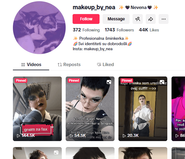 Inače pojedini gradjani su naveli da se Nevena Milosavljević klala pse po Beogradu prepoznata i kao navodna šminkerka.